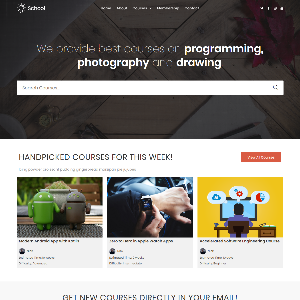 Mẫu website giới thiệu trường học – NEX0009