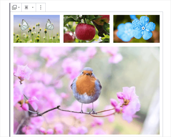 Bốn hình ảnh trong bộ sưu tập (bướm, táo, hoa màu xanh và chim cổ đỏ)