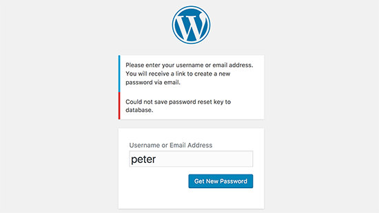 Lỗi khóa đặt lại mật khẩu trong WordPress